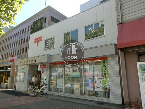 大通り