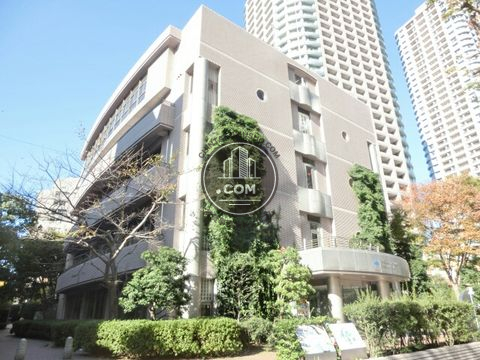 大通り