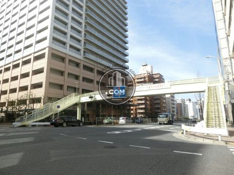 大通り