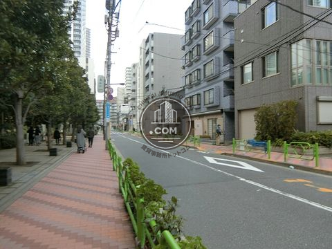 大通り