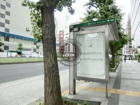 大通り