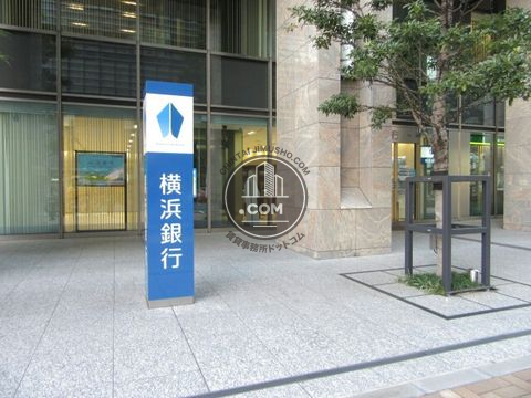 大通り