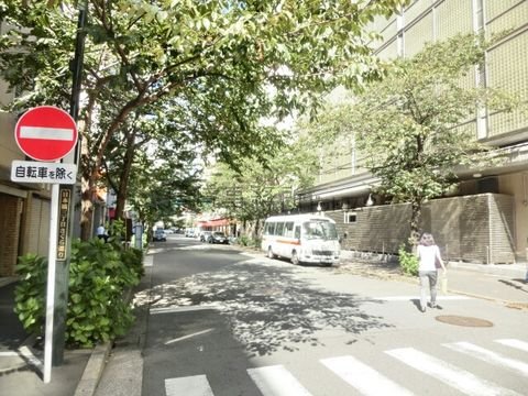 日本橋三丁目さくら通り