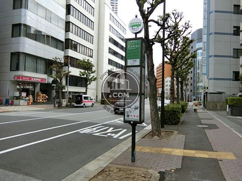 大通り