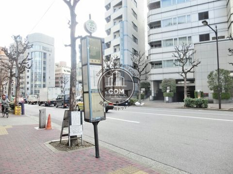 大通り