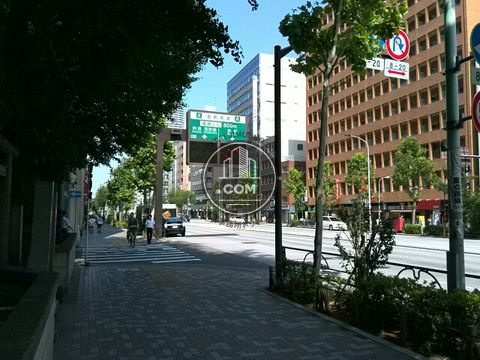 大通り