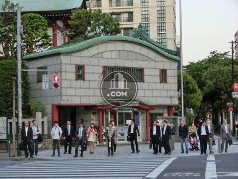 大通り