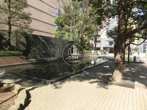 裏路地