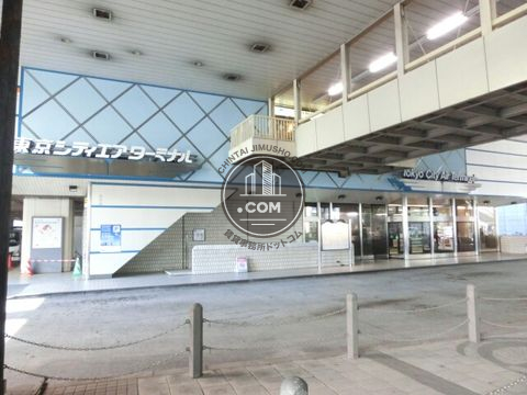 駅周辺