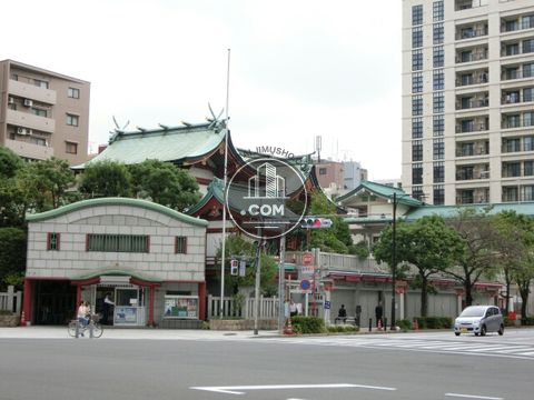 駅周辺