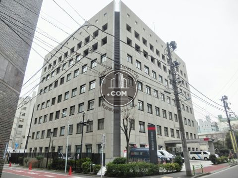 大通り