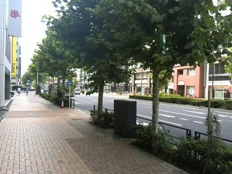 ビルが並ぶ永代通りですが歩道には木々があります