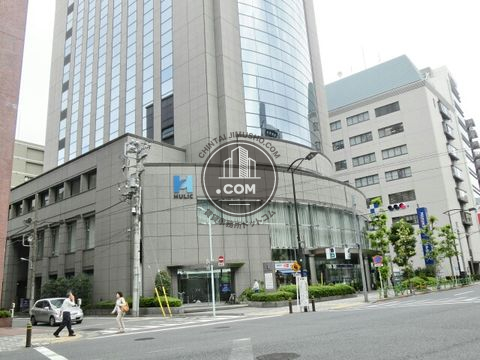 大通り