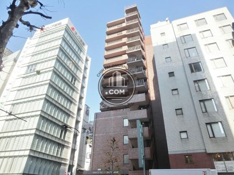 大通り