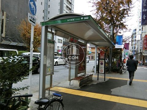 大通り