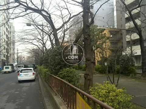 裏路地
