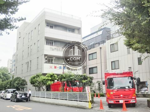 大通り