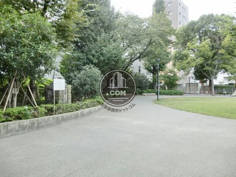 裏路地