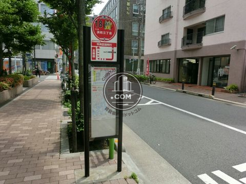 大通り