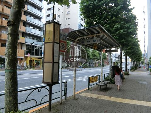 大通り