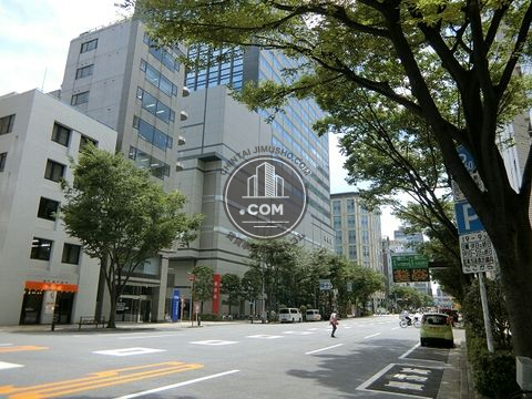 大通り