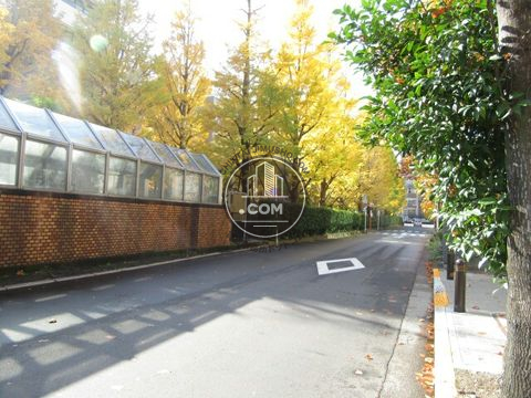 裏路地