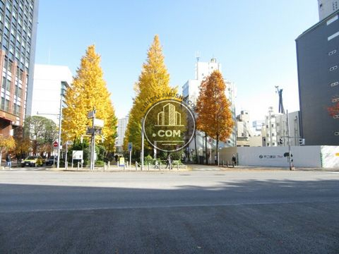 大通り