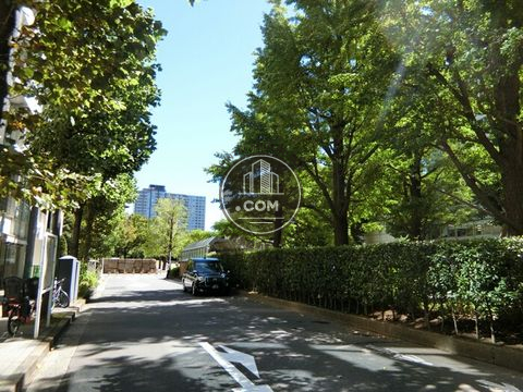 裏路地