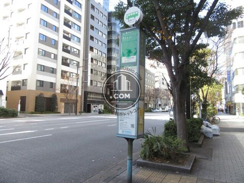 大通り