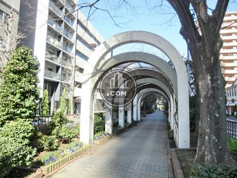 裏路地