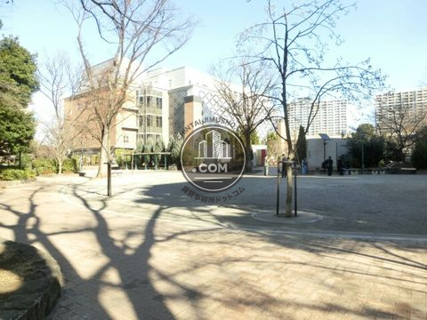 大通り