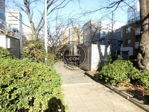 裏路地