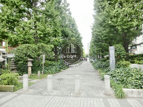大通り