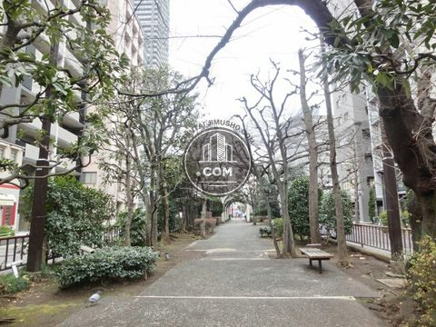 裏路地