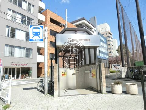 大通り