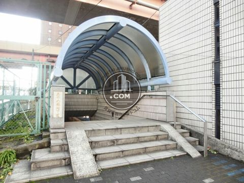 大通り