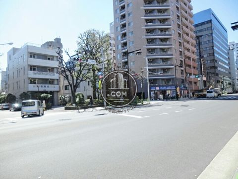 大通り