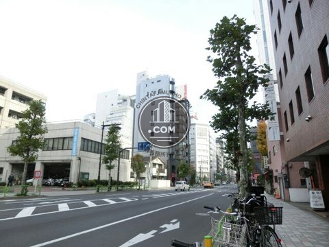 大通り