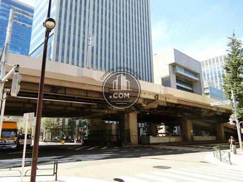大通り
