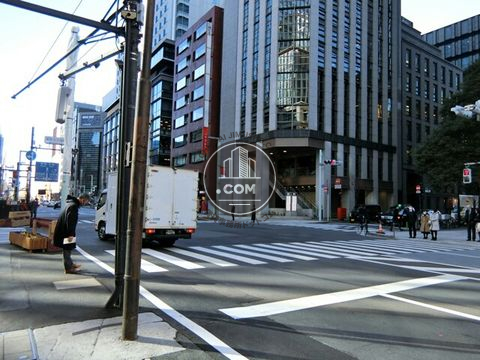 大通り
