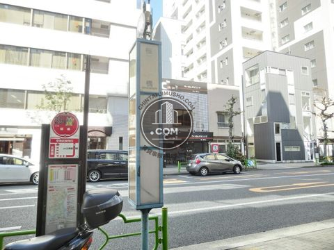 大通り