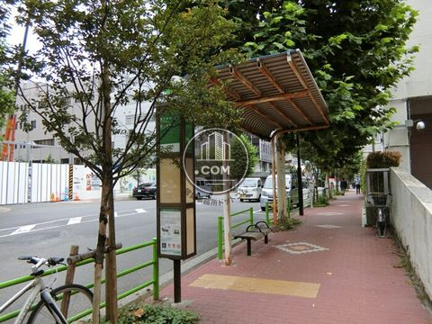 大通り