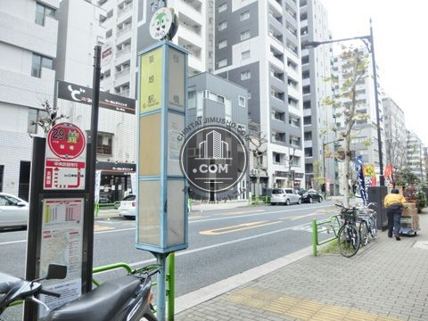 大通り