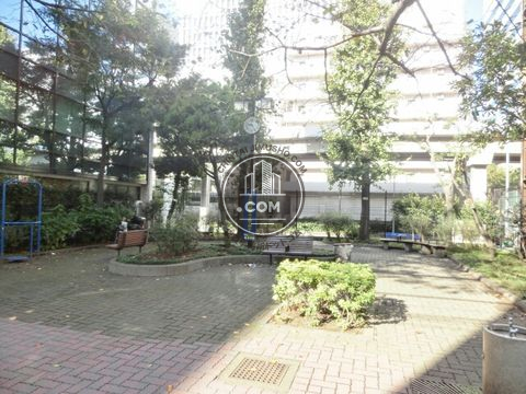 裏路地