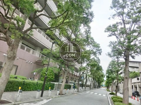 裏路地