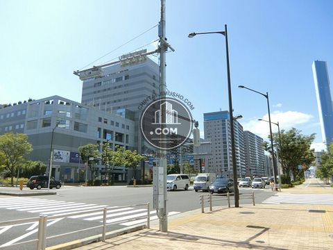 大通り