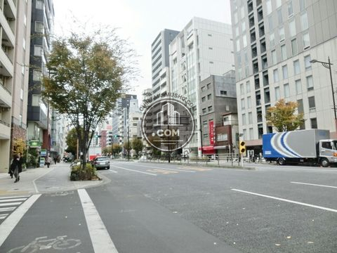 大通り