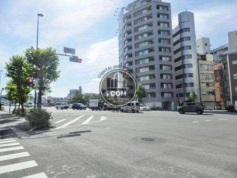 大通り