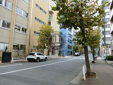 大通り