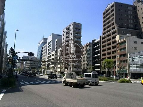 大通り